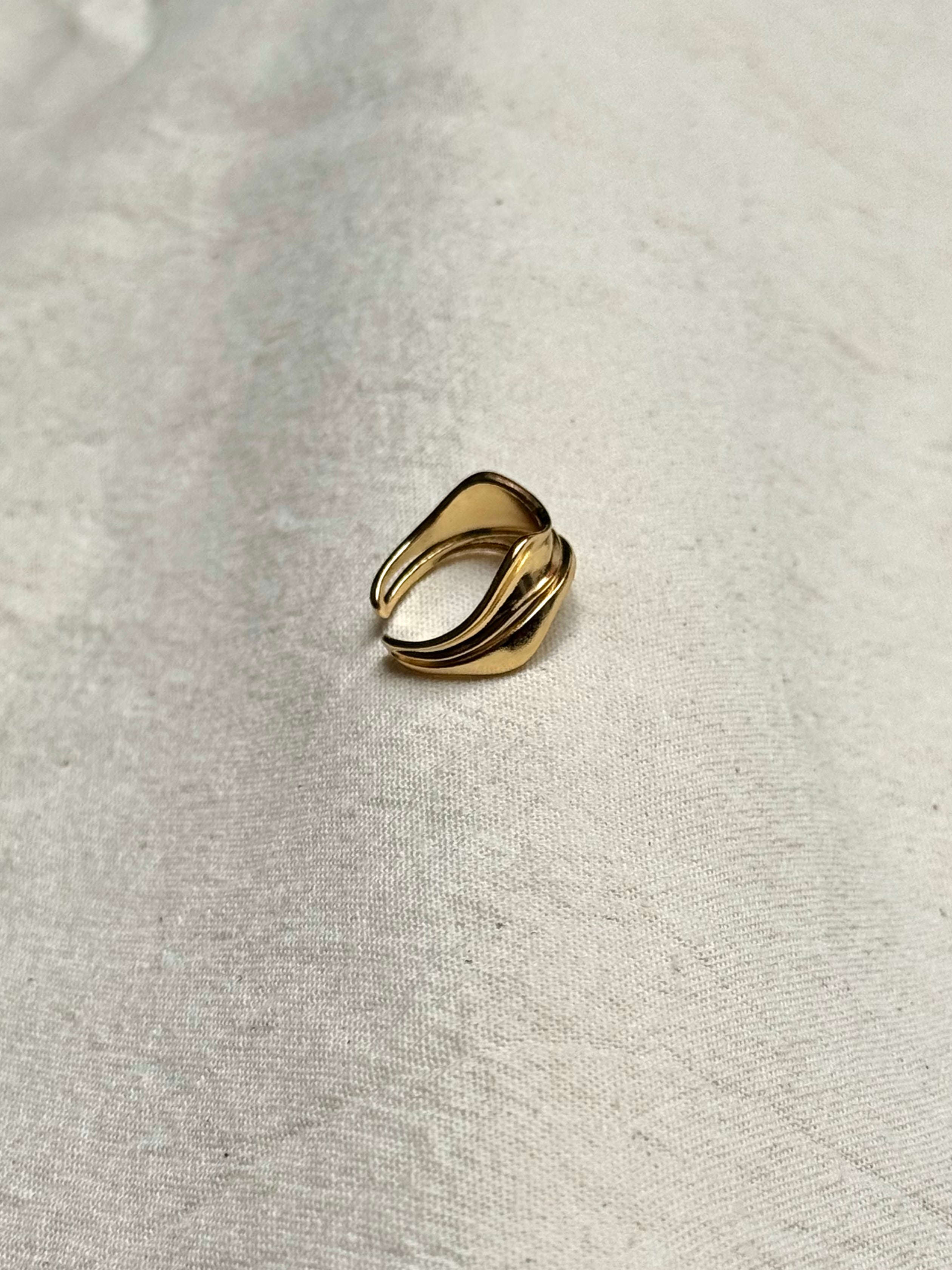 Anillo Vertice