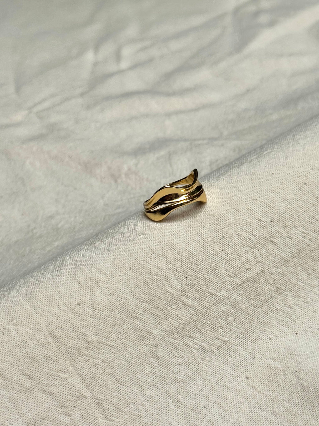Anillo Vertice